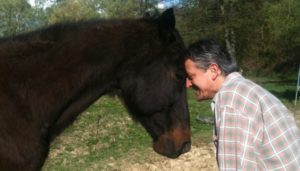 Alberto Orlandi testa a testa con il cavallo Otto